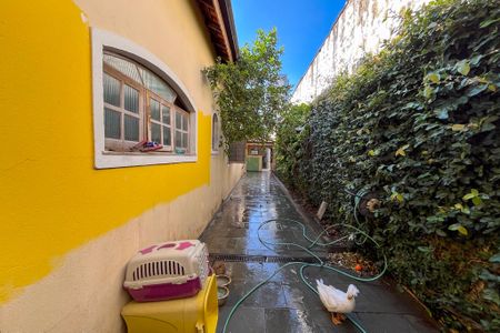 Casa para alugar com 260m², 3 quartos e 2 vagas Casa para alugar com 260m², 3 quartos e 2 vagasCorredor externo