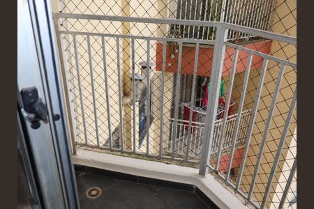 Varanda da sala de apartamento para alugar com 3 quartos, 79m² em Sítio Pinheirinho, São Paulo