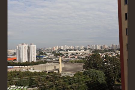 Apartamento para alugar com 79m², 3 quartos e 1 vagaVista da suíte