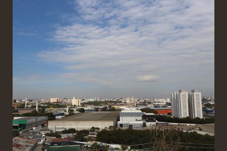 Apartamento para alugar com 79m², 3 quartos e 1 vagaVista do quarto 2