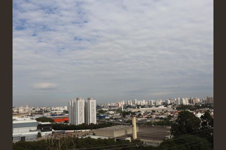 Apartamento para alugar com 79m², 3 quartos e 1 vagaVista do quarto 2