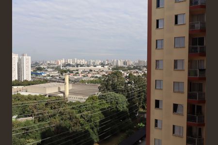 Apartamento para alugar com 79m², 3 quartos e 1 vagaVista da suíte