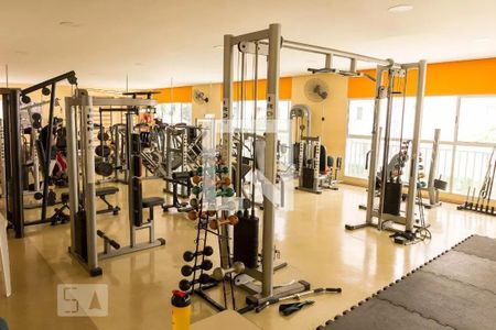 Apartamento para alugar com 50m², 2 quartos e 1 vaga Apartamento para alugar com 50m², 2 quartos e 1 vagaAcademia