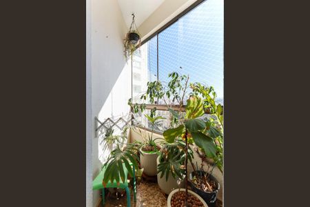 Sacada da suíte de apartamento para alugar com 3 quartos, 90m² em Parque Mandaqui, São Paulo
