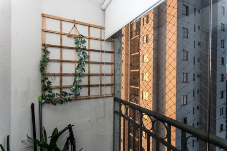 Varanda da Sala de apartamento à venda com 3 quartos, 57m² em Vila Moreira, São Paulo