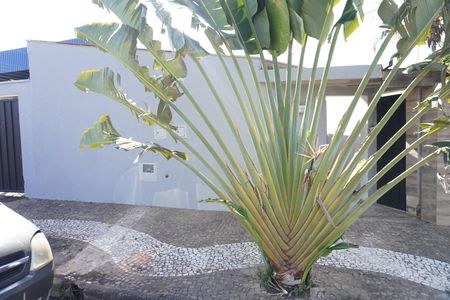 Casa para alugar com 30m², 1 quarto e sem vagaFachada