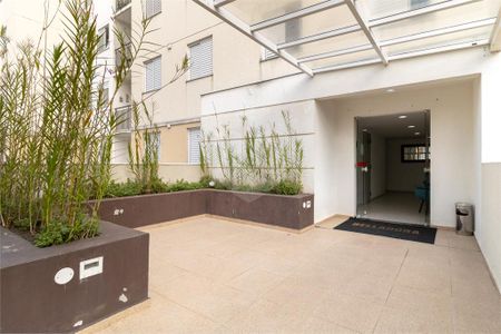 Apartamento à venda com 3 quartos, 63m² em Vila Mascote, São Paulo