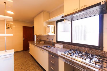 Apartamento para alugar com 160m², 3 quartos e 2 vagas Apartamento para alugar com 160m², 3 quartos e 2 vagasCozinha