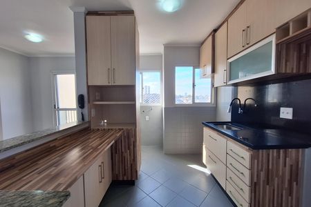 Cozinha de apartamento à venda com 2 quartos, 48m² em Vila Palmares, Santo André
