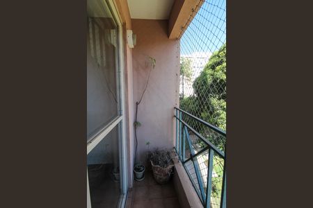 Varanda da Sala de apartamento para alugar com 3 quartos, 67m² em Vila Butantã, São Paulo