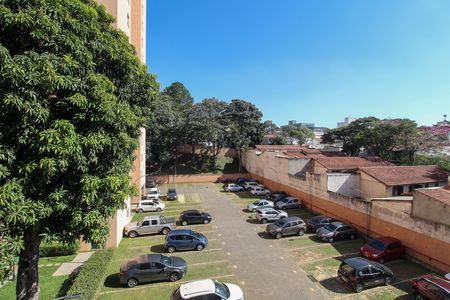 Apartamento para alugar com 67m², 3 quartos e 1 vaga Apartamento para alugar com 67m², 3 quartos e 1 vagaQuarto 1