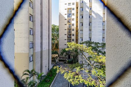 Vista do Quarto 1 de apartamento à venda com 2 quartos, 54m² em Vila das Belezas, São Paulo