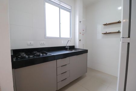 Apartamento para alugar com 42m², 2 quartos e 1 vagaCozinha 