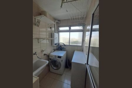 Foto 13 de apartamento para alugar com 3 quartos, 69m² em Vila Santa Catarina, São Paulo