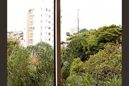 Apartamento à venda com 3 quartos, 93m² em Sumarezinho, São Paulo