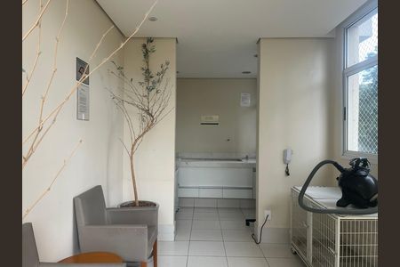 Apartamento para alugar com 70m², 3 quartos e 1 vagaÁrea comum - Pet
