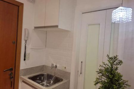 Cozinha com pia e armários brancos, iluminação adequada, com um pequeno jardim ao lado. de kitnet/studio à venda com 1 quarto, 38m² em Cerqueira César, São Paulo