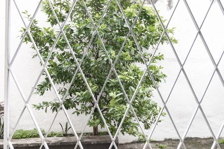 Apartamento à venda com 70m², 2 quartos e sem vaga