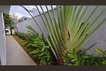 Casa de condomínio para alugar com 300m², 3 quartos e 3 vagas Casa de condomínio para alugar com 300m², 3 quartos e 3 vagasÁrea externa