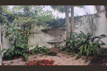 Casa à venda com 3 quartos, 170m² em Jardim Petropolis, São Paulo