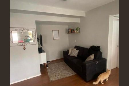 Sala/cozinha de apartamento à venda com 3 quartos, 81m² em Alto do Pari, São Paulo