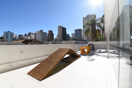 Studio para alugar com 20m², 1 quarto e sem vagaÁrea comum - Espaço Pet