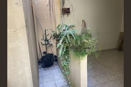 Casa à venda com 250m², 3 quartos e 3 vagas