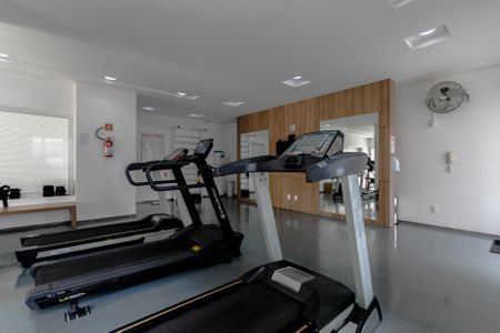 Apartamento para alugar com 67m², 2 quartos e 1 vaga Apartamento para alugar com 67m², 2 quartos e 1 vagaÁrea Comum