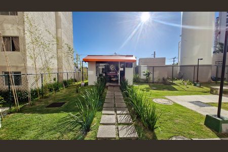 Apartamento para alugar com 33m², 2 quartos e sem vaga Apartamento para alugar com 33m², 2 quartos e sem vagaMercado