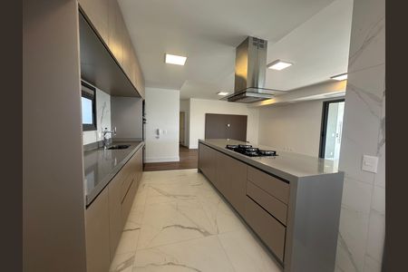Apartamento para alugar com 245m², 4 quartos e 4 vagas Apartamento para alugar com 245m², 4 quartos e 4 vagasCozinha