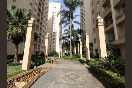 Apartamento à venda com 65m², 3 quartos e 1 vagaÁrea comum