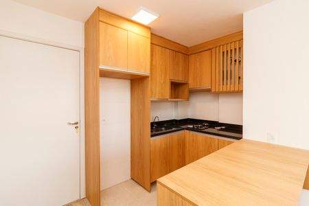 Cozinha de apartamento para alugar com 1 quarto, 29m² em Vila Mazzei, São Paulo