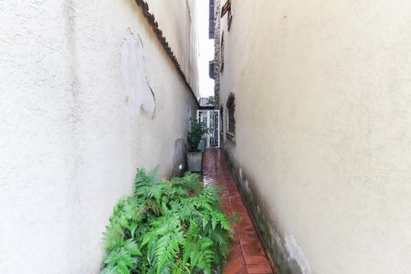 Casa à venda com 256m², 4 quartos e 5 vagasÁrea Externa