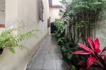Casa à venda com 500m², 3 quartos e 2 vagasQuintal 