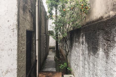 Casa à venda com 500m², 3 quartos e 2 vagasQuintal 