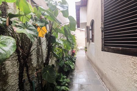 Casa à venda com 500m², 3 quartos e 2 vagasQuintal 