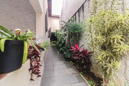 Casa à venda com 500m², 3 quartos e 2 vagasQuintal 