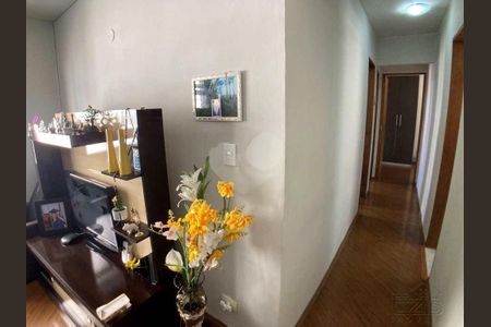Apartamento à venda com 3 quartos, 78m² em Cambuci, São Paulo