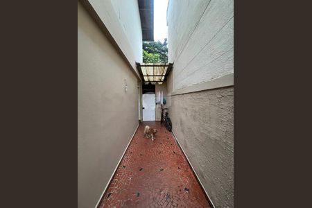 Casa à venda com 3 quartos, 80m² em Vila Cruzeiro, São Paulo