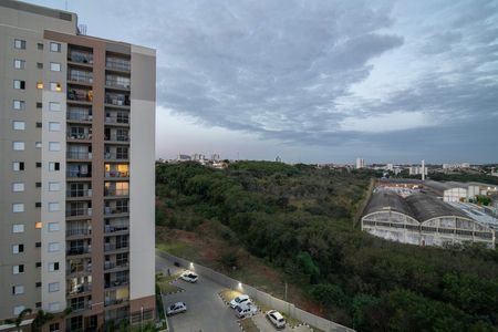Apartamento para alugar com 50m², 2 quartos e 1 vaga Apartamento para alugar com 50m², 2 quartos e 1 vagaVaranda - Vista