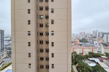 Suíte - vista de apartamento para alugar com 1 quarto, 42m² em Jardim Olavo Bilac, São Bernardo do Campo
