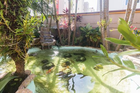 Apartamento para alugar com 65m², 3 quartos e 1 vagaAquário