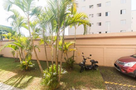 Apartamento para alugar com 65m², 3 quartos e 1 vagaVista do Quarto 3