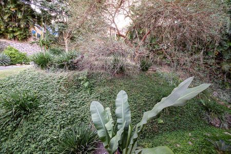 Casa à venda com 300m², 3 quartos e 4 vagas