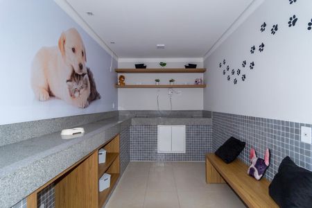Apartamento para alugar com 30m², 1 quarto e sem vaga Apartamento para alugar com 30m², 1 quarto e sem vagaPet Care