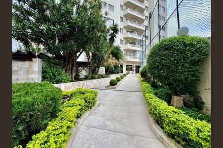 Apartamento à venda com 3 quartos, 78m² em Vila Formosa, São Paulo
