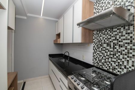 Apartamento para alugar com 49m², 3 quartos e 1 vaga Apartamento para alugar com 49m², 3 quartos e 1 vagaCozinha