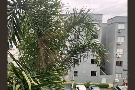 Vista do Quarto 1 de apartamento para alugar com 2 quartos, 49m² em Centro, Sapucaia do Sul