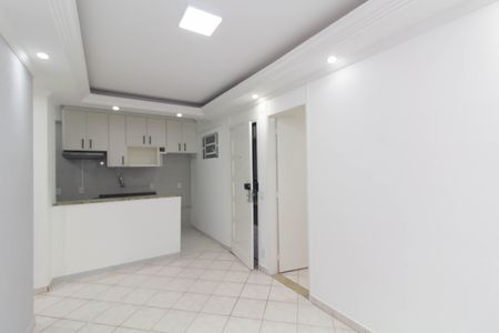 Sala de apartamento para alugar com 2 quartos, 44m² em Jardim Casa Pintada, São Paulo