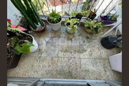 Apartamento à venda com 74m², 3 quartos e 1 vaga